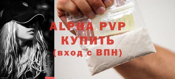 сатива Покачи
