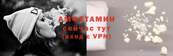сатива Покачи