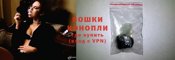 сатива Покачи