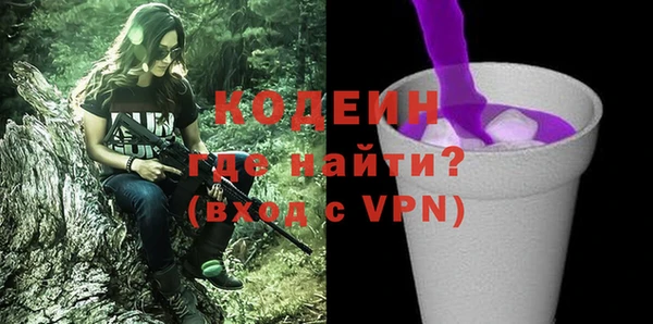 сатива Покачи