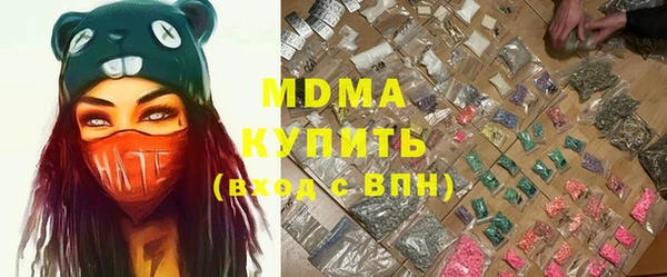 сатива Покачи