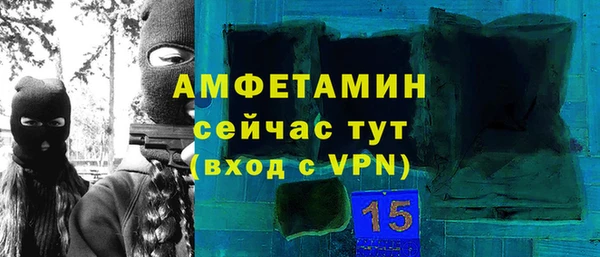 сатива Покачи