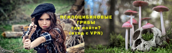 сатива Покачи