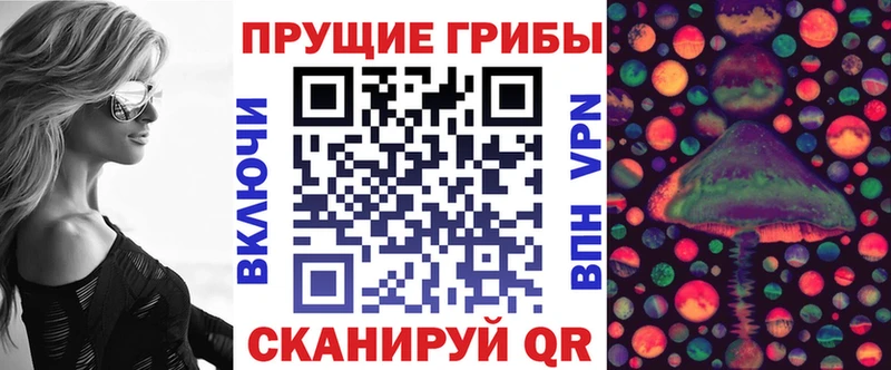 Псилоцибиновые грибы GOLDEN TEACHER  Купить закладки  Пенза 