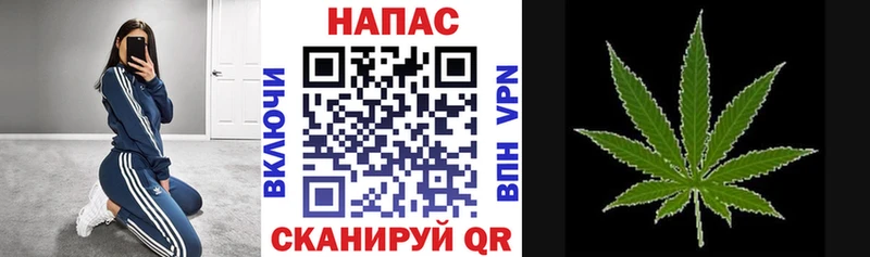 Канабис OG Kush  Купить  Пенза 